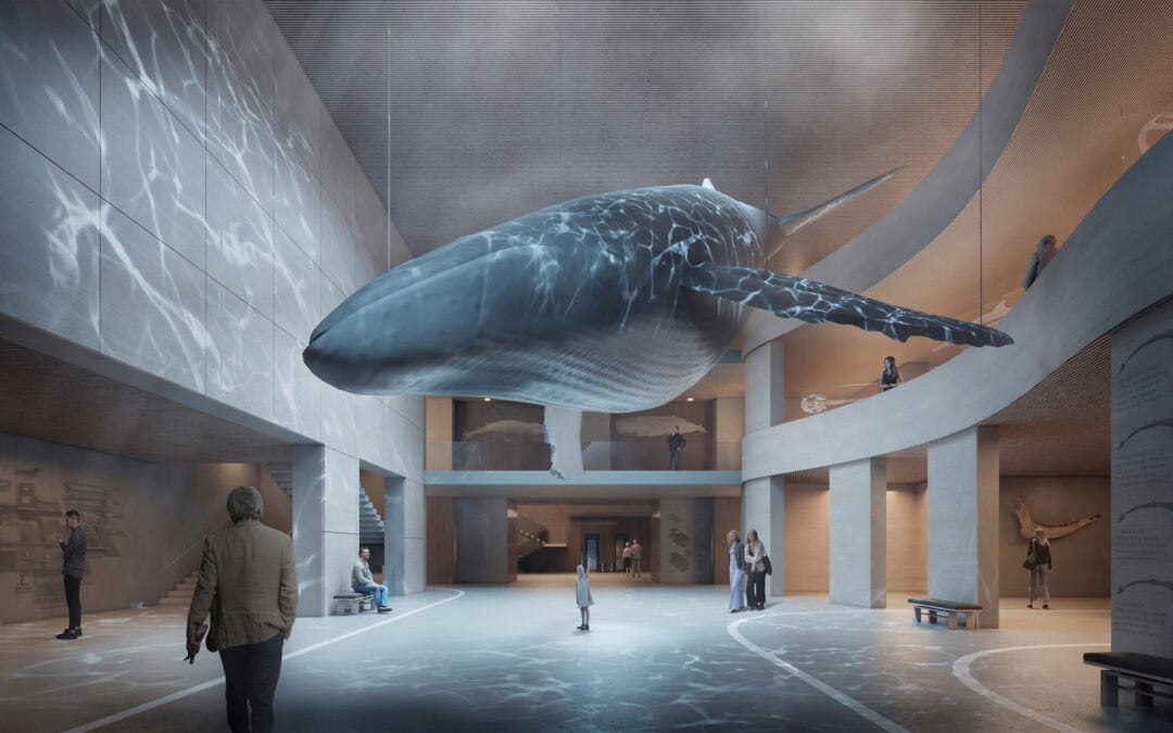 Crafting Space and Evoking Emotion: The Art of Architectural Storytelling