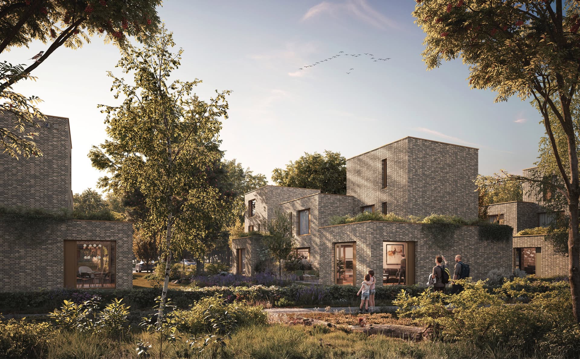 Meerstad Groningen – 28 Dwellings, Netherlands - 3D visualization 01 Meerstad Groningen – 28 Dwellings, Netherlands - 3D visualization 01