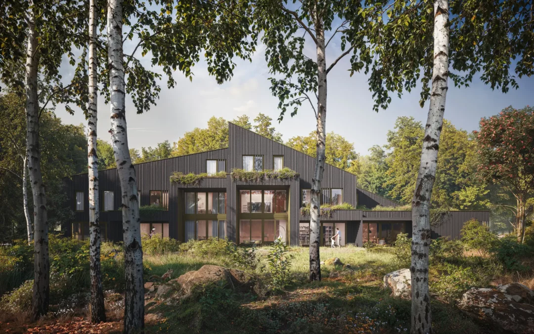 Our Case Study: Architectural Competition Renderings for Meerstad Pitch, Netherlands – 1st Prize Won
